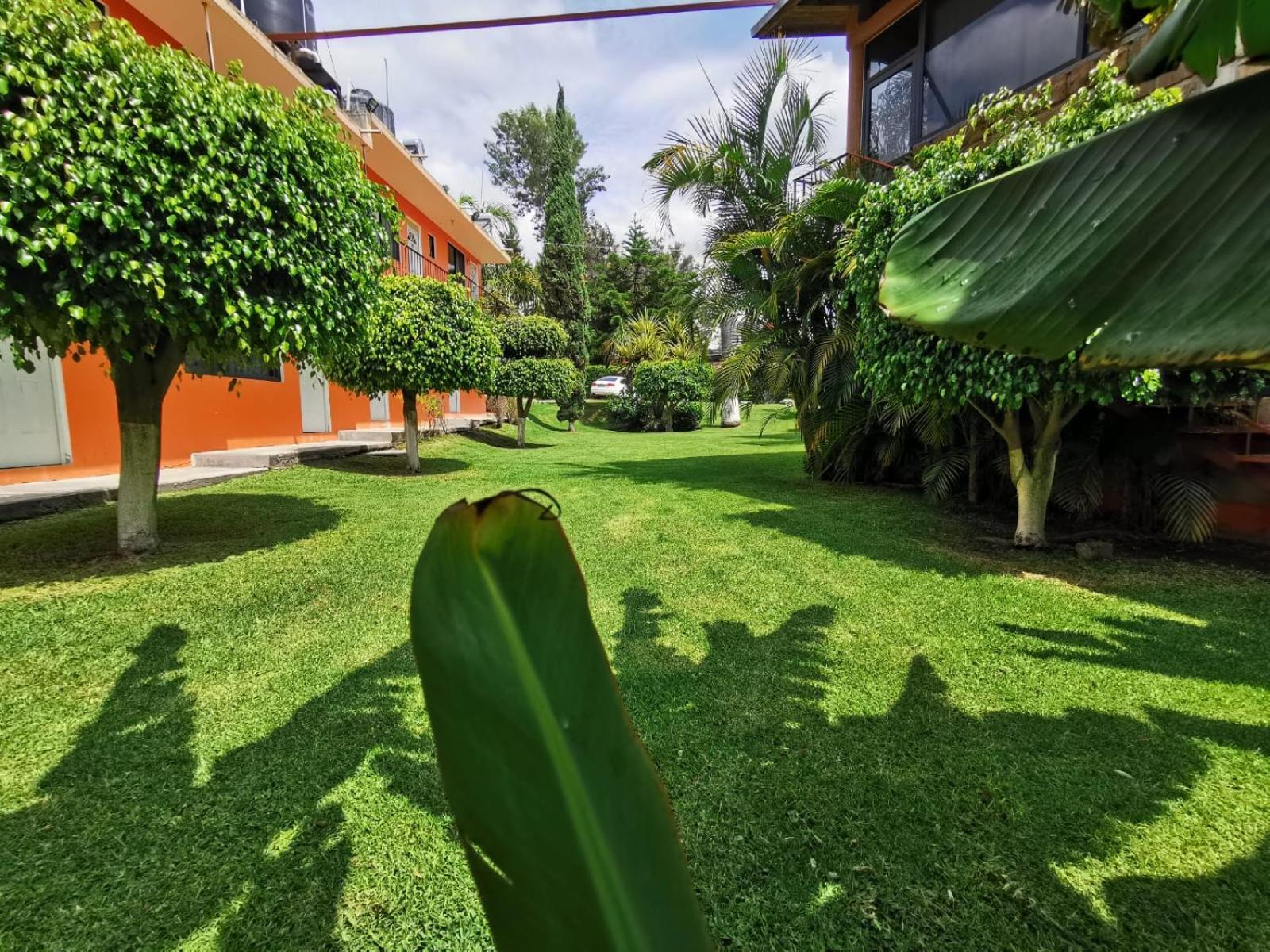 Hotel Quinta Ventura, إكستابان دي لا سال المظهر الخارجي الصورة
